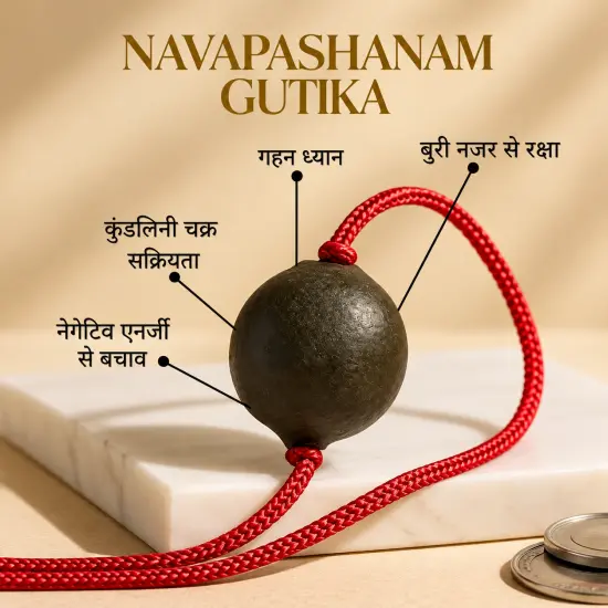 Navapashanam Gutika 10gm